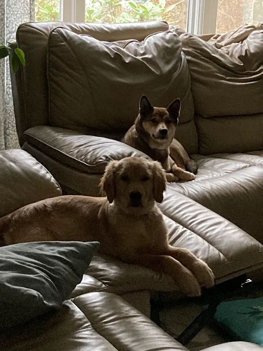 Buzzards Bay Veterinary Associates Picture 3