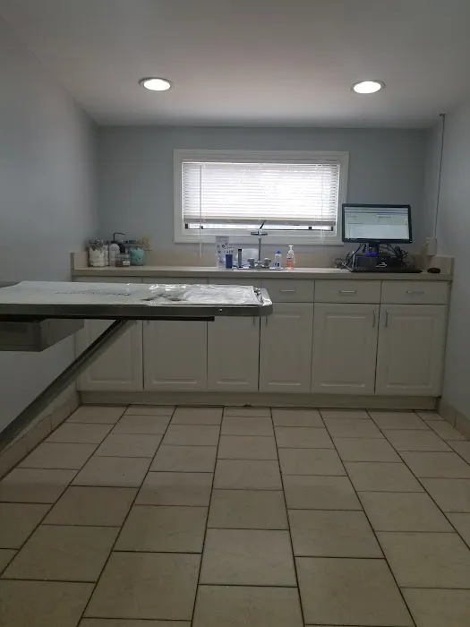 Buzzards Bay Veterinary Associates Picture 7