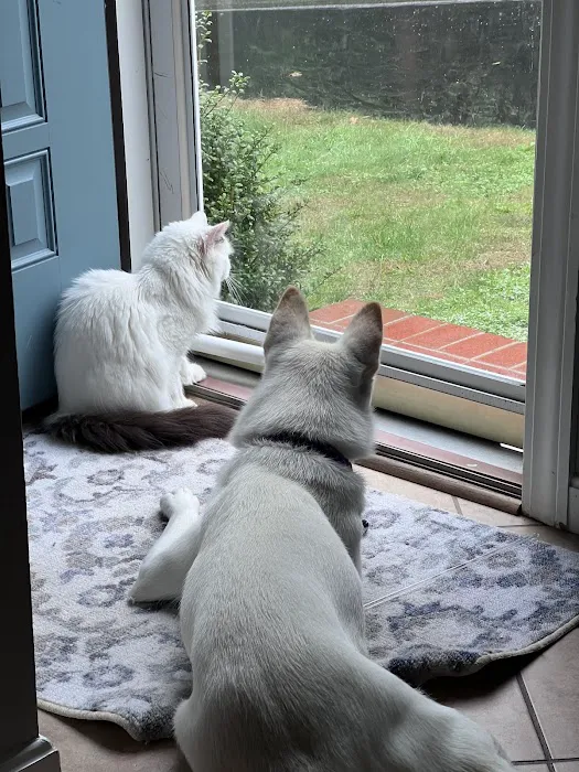 Buzzards Bay Veterinary Associates Picture 9