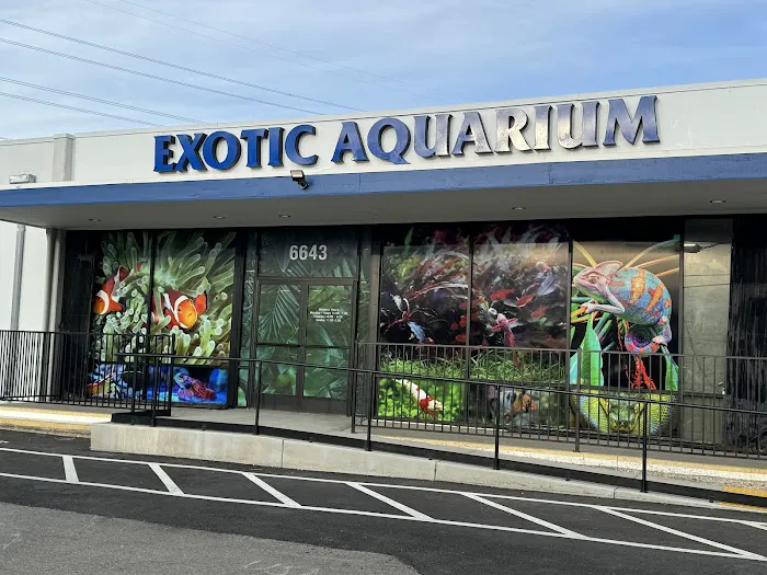 Exotic Aquarium Picture 2