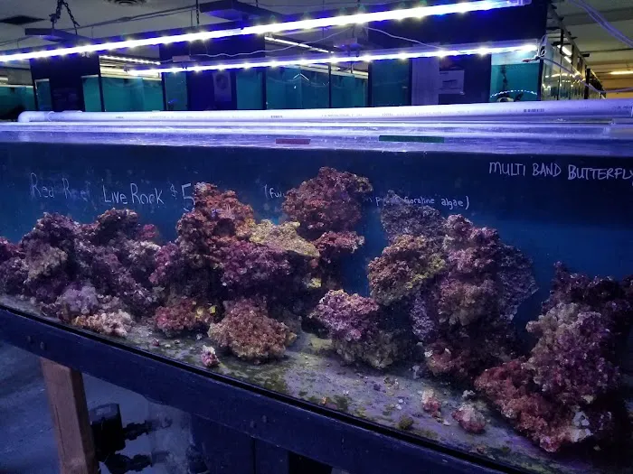 Exotic Aquarium Picture 3