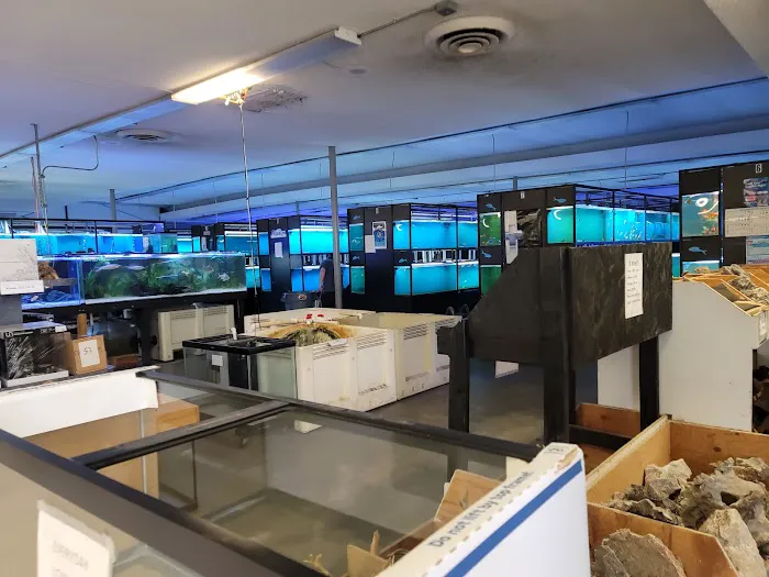 Exotic Aquarium Picture 5