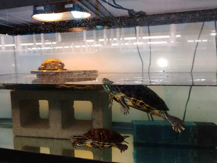 Exotic Aquarium Picture 6