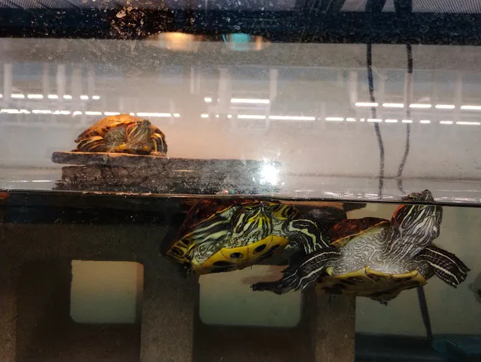 Exotic Aquarium Picture 9