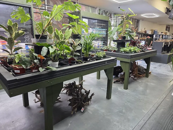 Exotic Aquarium Picture 10