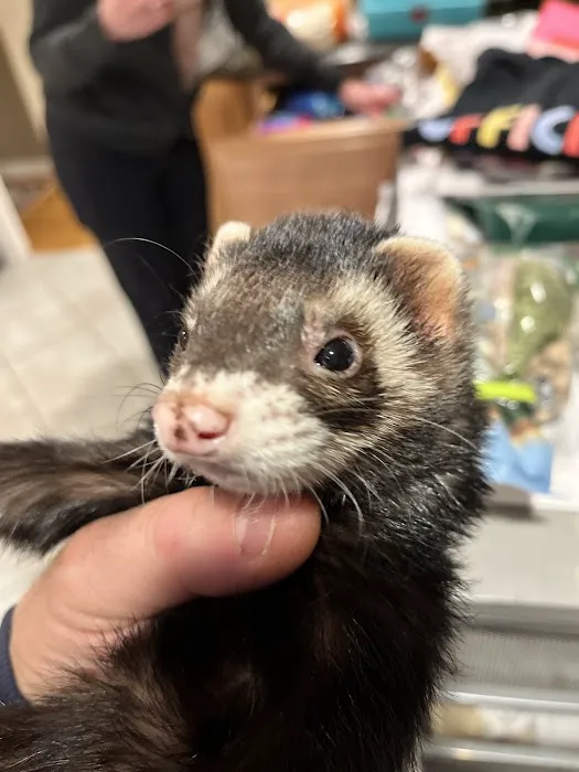 Randolph Animal Hospital Picture 2