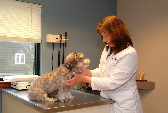 Randolph Animal Hospital Picture 4