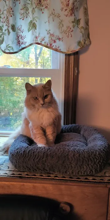 Randolph Animal Hospital Picture 8