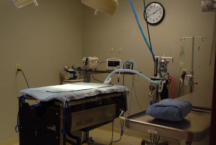 Randolph Animal Hospital Picture 9