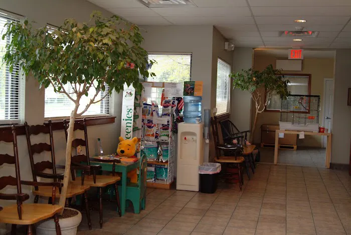 Randolph Animal Hospital Picture 10