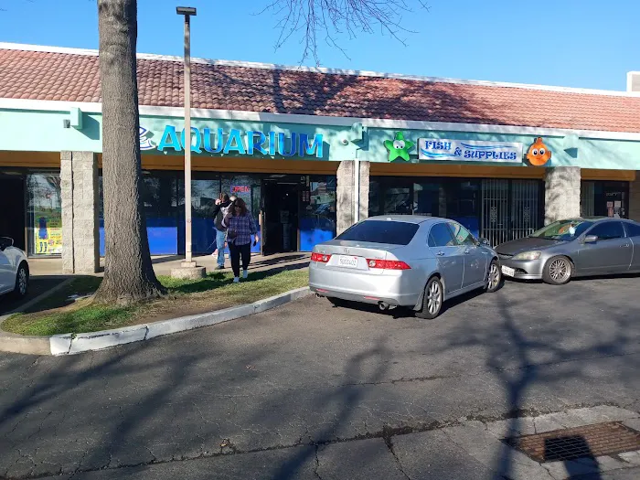 Splash Aquarium Picture 2