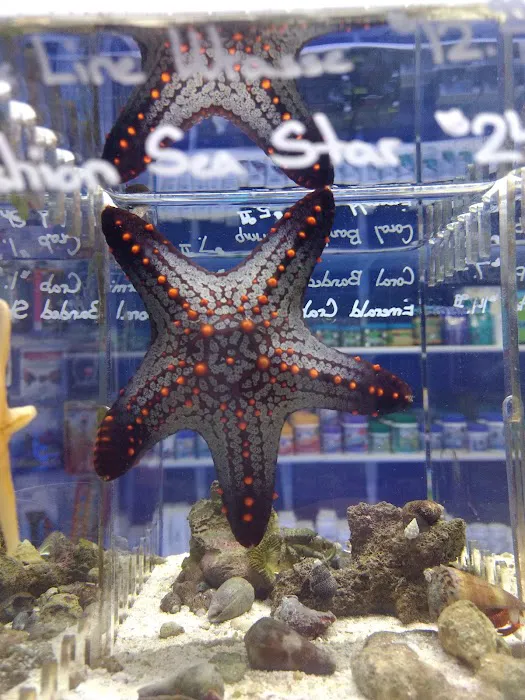 Splash Aquarium Picture 1