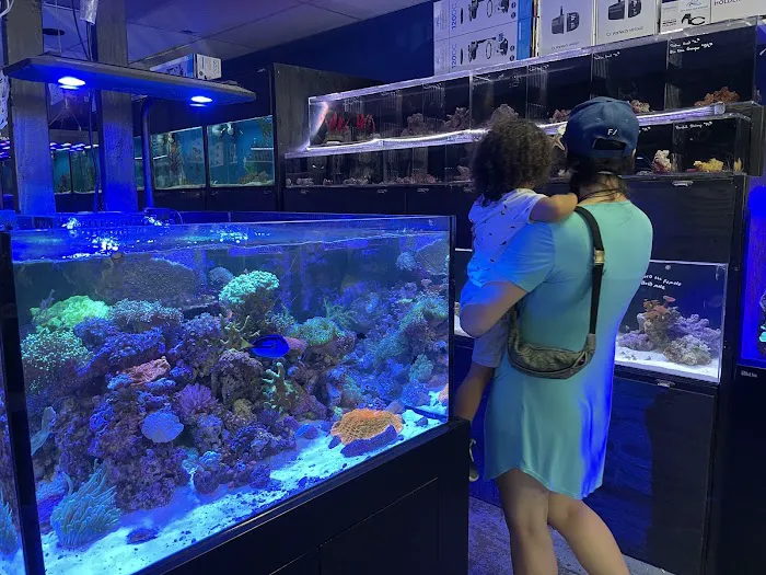 Splash Aquarium Picture 3