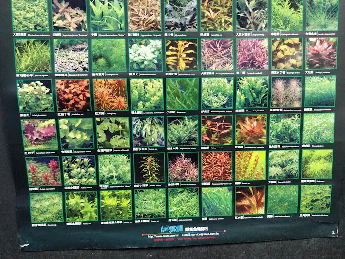 Splash Aquarium Picture 6