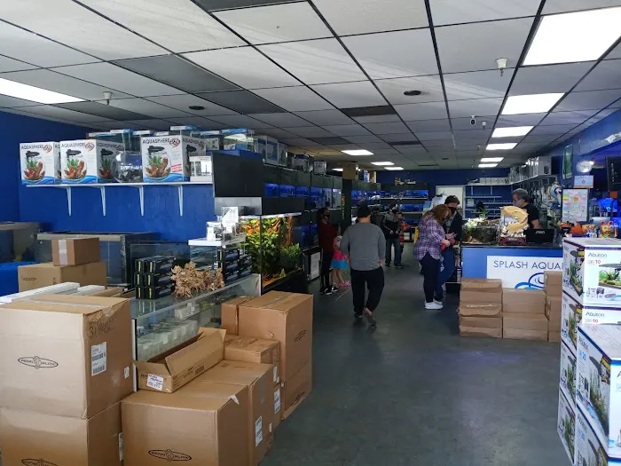 Splash Aquarium Picture 5