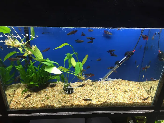 Splash Aquarium Picture 4