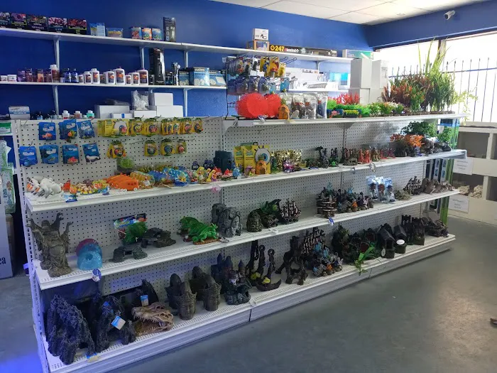 Splash Aquarium Picture 8