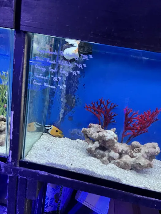 Splash Aquarium Picture 9