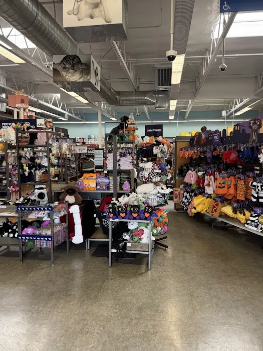 Petco Picture 6