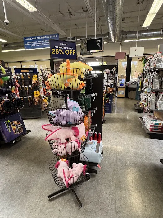 Petco Picture 5