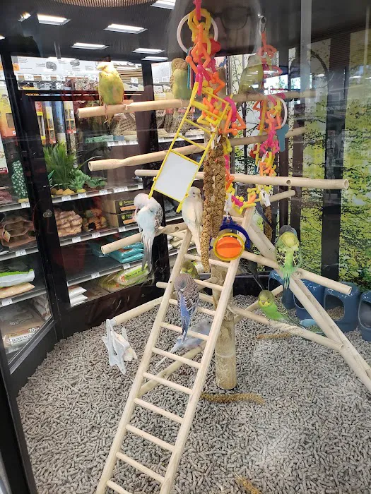 Petco Picture 5