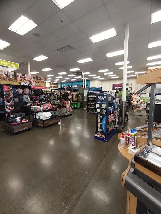 Petco Picture 3