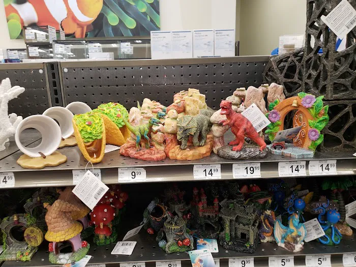 Petco Picture 8