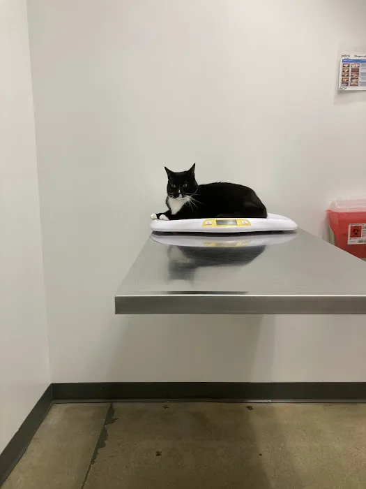 Vetco Total Care Animal Hospital Picture 7