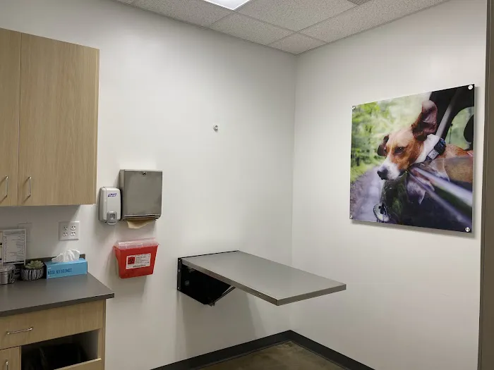 Vetco Total Care Animal Hospital Picture 8