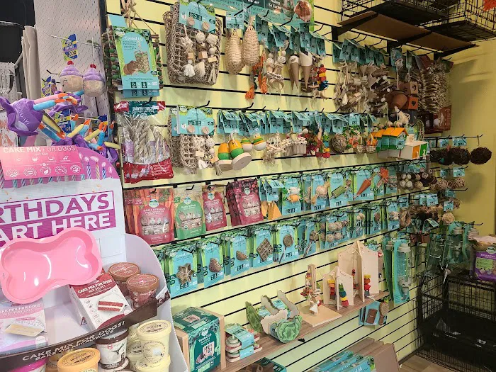 The Pet Shop Picture 1