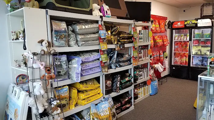 The Pet Shop Picture 6