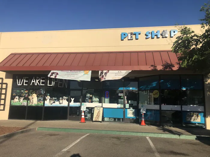 The Pet Shop Picture 5