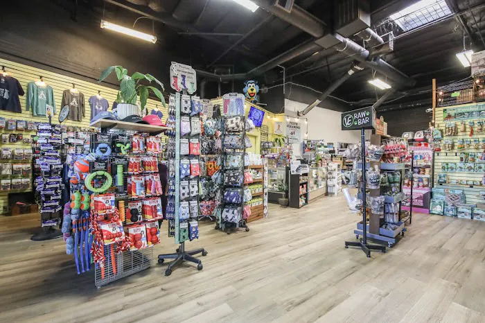 The Pet Shop Picture 8