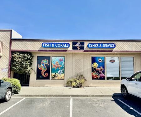 Fishy Business
