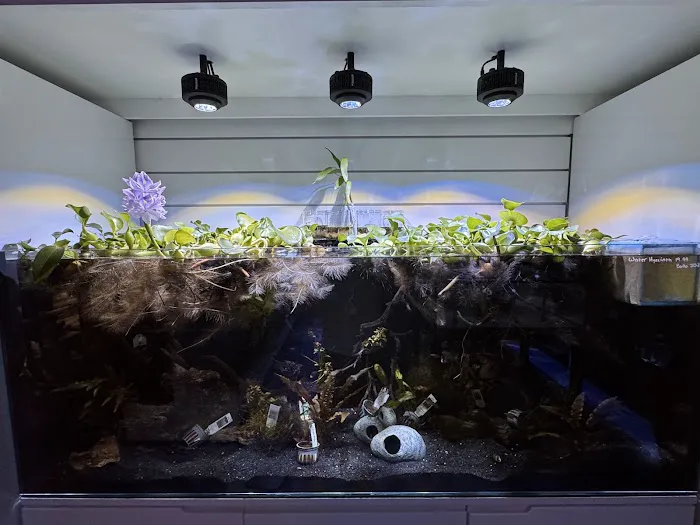 Fishy Business Picture 3