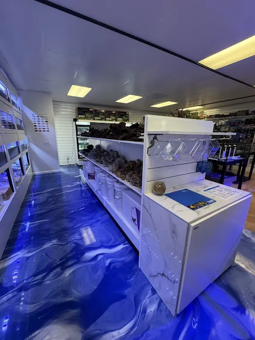 Fishy Business Picture 7