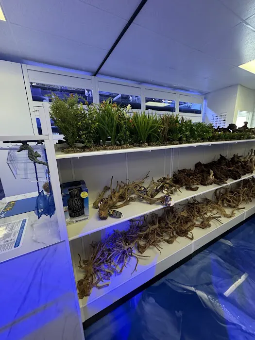 Fishy Business Picture 4