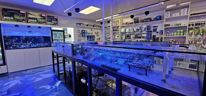 Fishy Business Picture 6