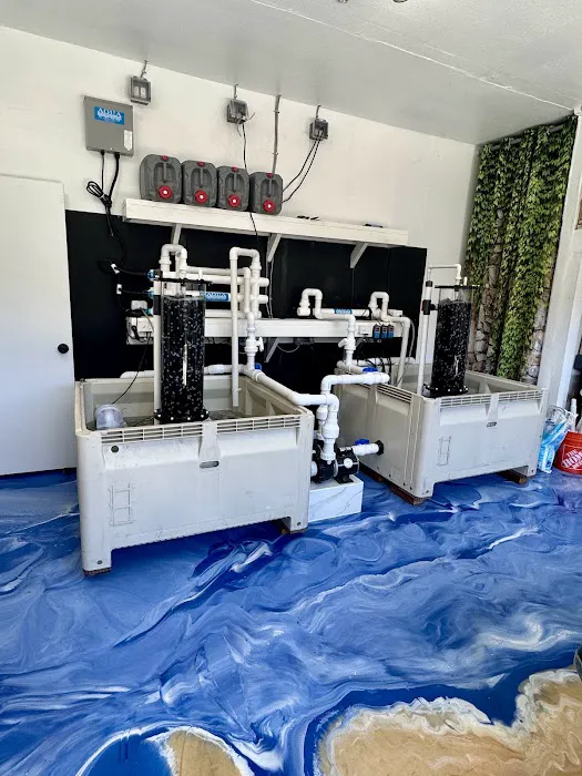 Fishy Business Picture 5