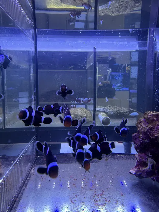 Fishy Business Picture 8