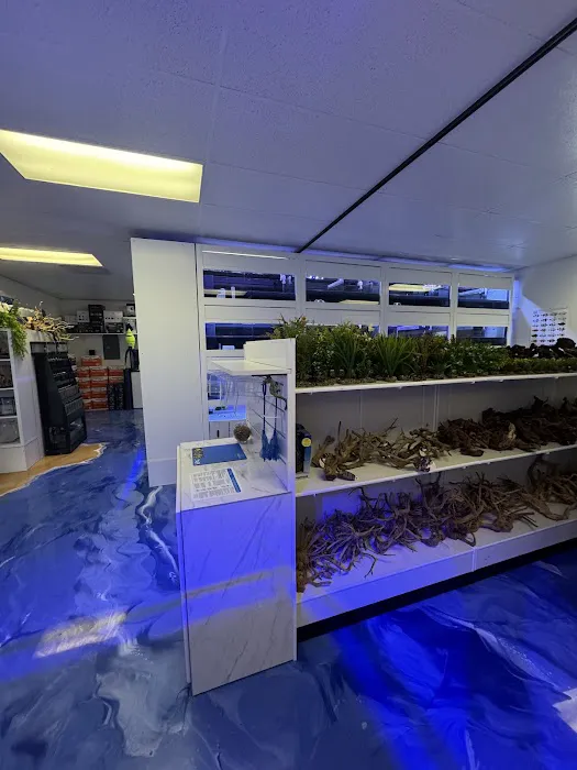 Fishy Business Picture 10