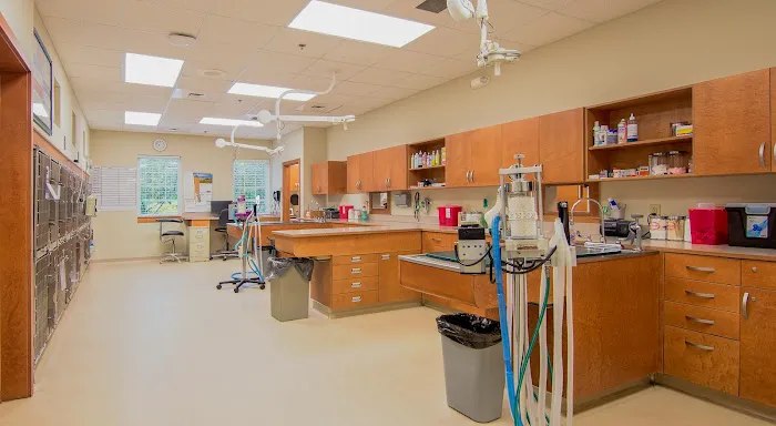 VCA Plymouth Animal Hospital and Pet Resort Picture 4