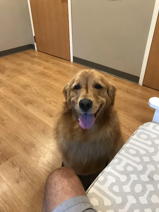 Kingston Animal Hospital Picture 4