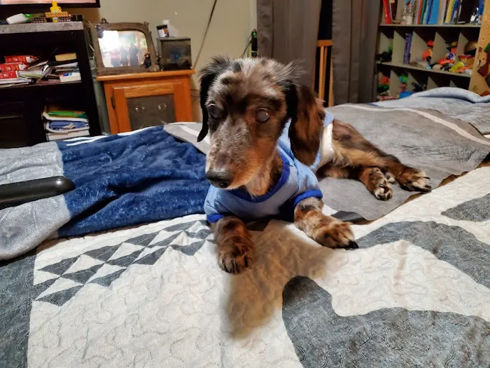 Kingston Animal Hospital Picture 8