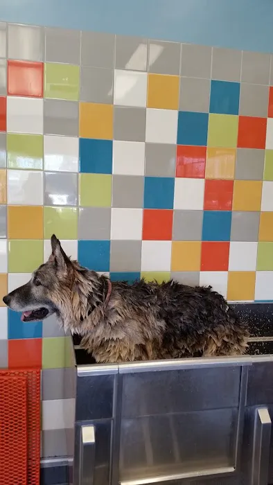 Unleashed by Petco Picture 1