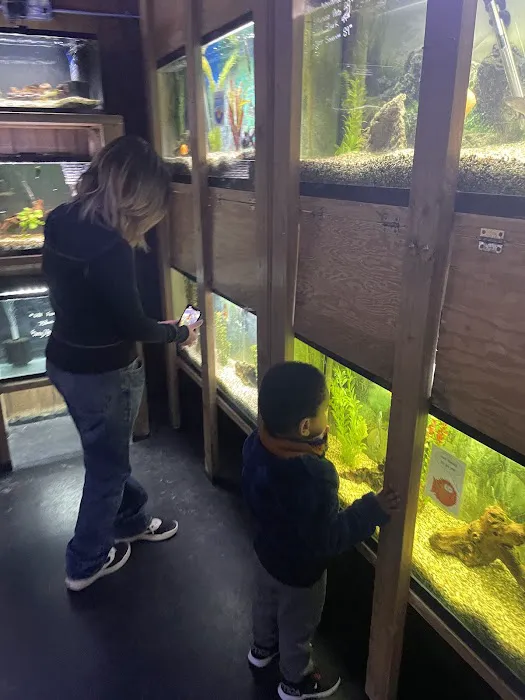 Caesar's Tropical Fish Factory Picture 2