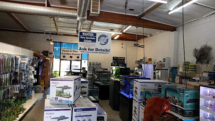 Caesar's Tropical Fish Factory Picture 4