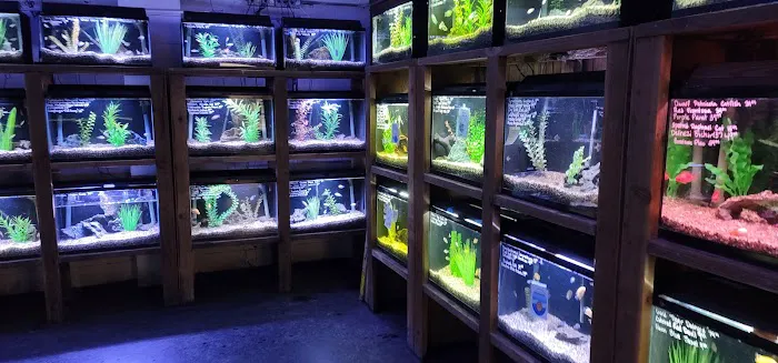 Caesar's Tropical Fish Factory Picture 8