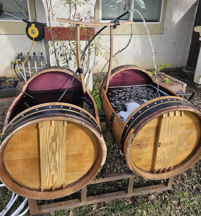 Caesar's Tropical Fish Factory Picture 9