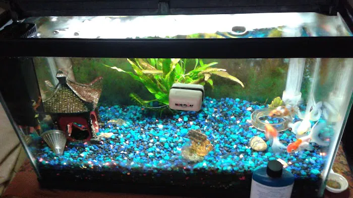 Caesar's Tropical Fish Factory Picture 7